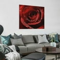 thumbnail image 2 of Fenyluxe Red Rose Water Droplets Wall Decor for Bedroom Kitchen Ready to Hang Room Home Art 12x12in, 2 of 6