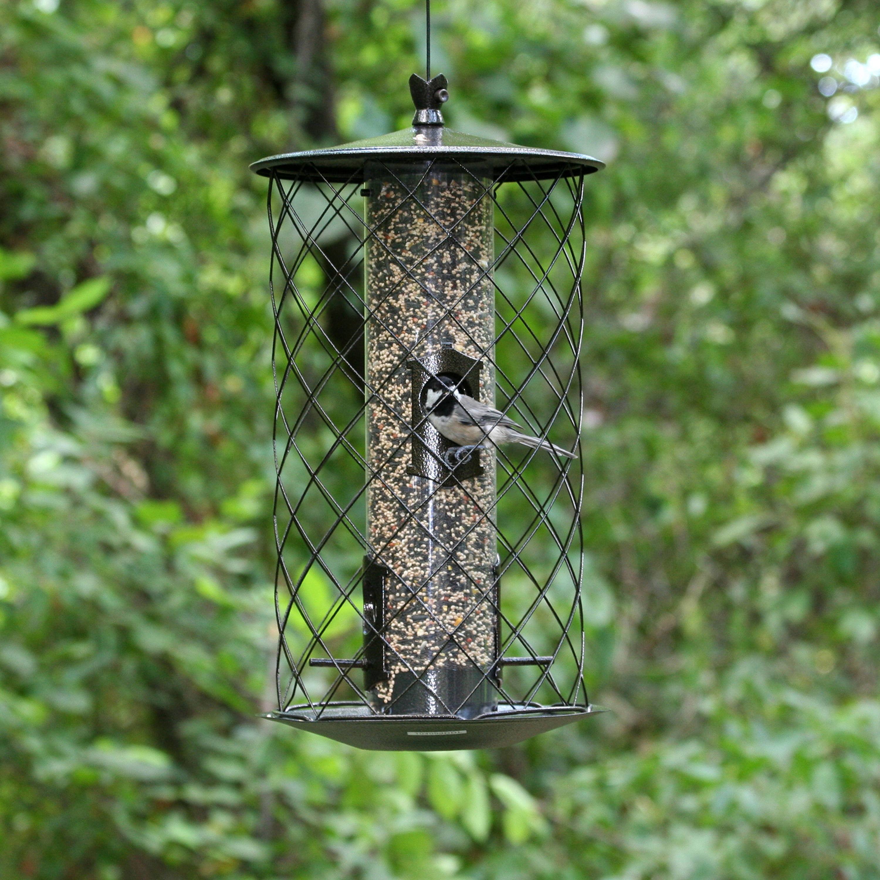Outdoor Seasons 3 Lb. Capacity Preserve Bird Feeder