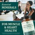 thumbnail image 6 of High Strength Potassium Plus Magnesium Capsules for Heart Health and Electrolyte Balance, 90 Ct, 6 of 9
