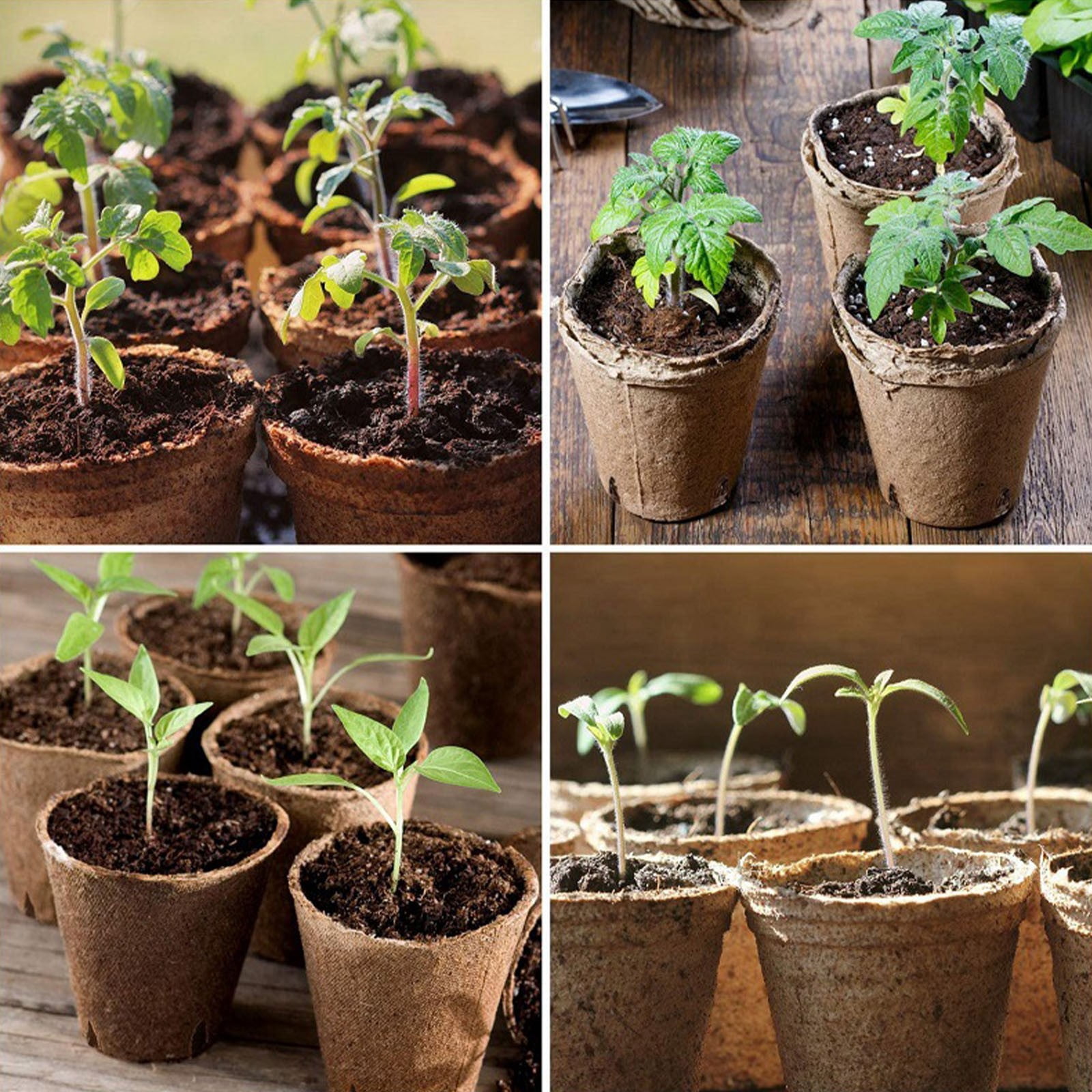 Plant Pots, Peat Pots for seedlings, Planting Pots, Seedling Pots, Biodegradable Seed Starter Pots, Flower Pots, Seed Starter Pots with Drainage Holes, Starter Pots for Planting Seeds 50Pcs