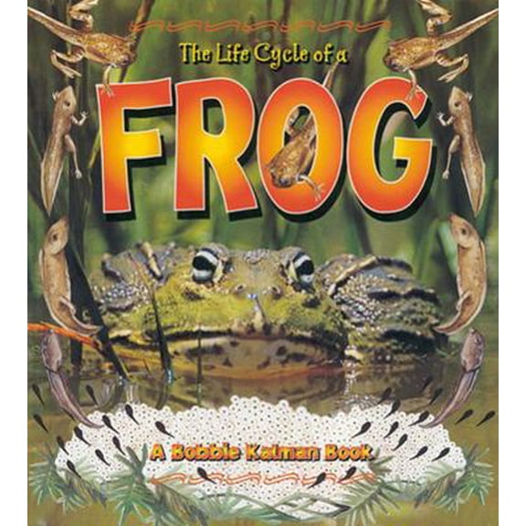 Pre-Owned The Life Cycle of a Frog (Paperback) 0778706818 9780778706816