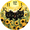 XuuyZ-3, variant on Eveokoki Owl Surrounded By Sunflowers 10 Inch Wall Clock - MDF Silent Non-Ticking Clock with 4 Color Hands for Kitchen, Bedroom, Living Room Decor