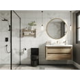 thumbnail image 3 of Liberty 12 in. Rough In 1-Piece 1.1/1.6 GPF Dual Flush Round Toilet in Matte Black, Black Button and Seat Included, 3 of 11