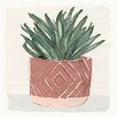thumbnail image 2 of Stellar Design Studio 15x15 White Modern Wood Framed Museum Art Print Titled - Agave 2, 2 of 4
