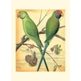 thumbnail image 2 of Cassell 14x18 Black Ornate Wood Framed with Double Matting Museum Art Print Titled - Cassells Parrots III, 2 of 4