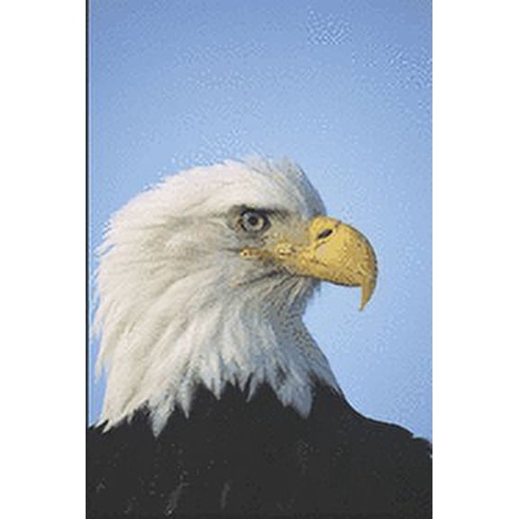 Was That a Bald Eagle and Later Poems (Paperback)