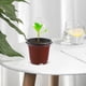 thumbnail image 4 of 10 juegos de macetas de vivero de flores, macetas de jardín para plantar flores, maceta de vivero con cúpula, 4 of 4
