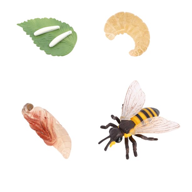 Worallymy Animal Ciclo de Crecimiento Juguete Plástico Simulado Niños Ciclo de Vida Conjunto Kid Kit de Herramientas Educativas Animal 2 Worallymy JD735923561