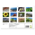 thumbnail image 2 of Tenerife - flora and fauna (Monthly Wall Calendar 2026 11.7 x 16.5 (open)), CALVENDO 14 Month Calendar, 2 of 9