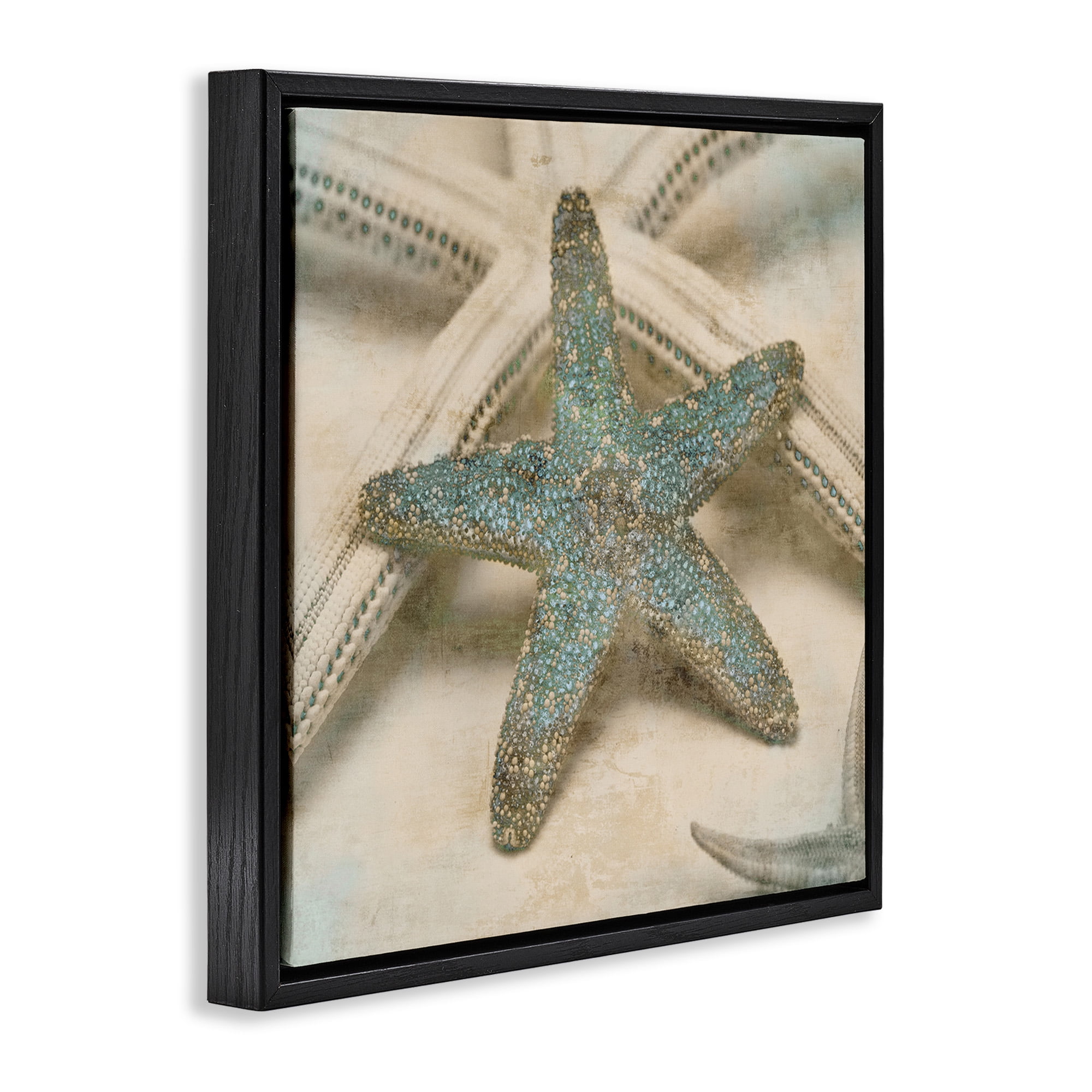 Stupell Industries Distressed Texture Starfish Nature Photography Black Floater Framed Canvas Art Print Wall Art, 18 x 18