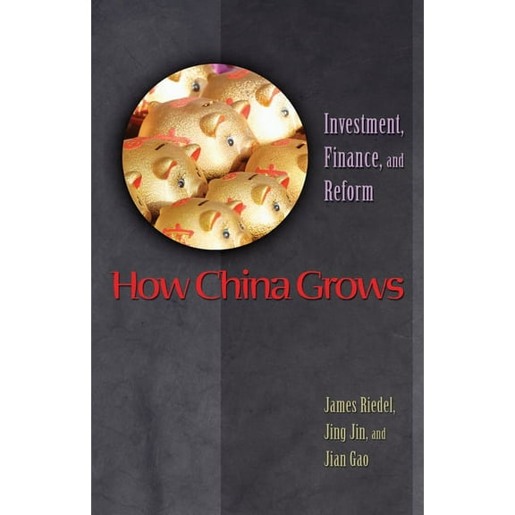 How China Grows: Investment, Finance, and Reform, (Paperback)