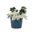 thumbnail image 4 of CQSXDA 3-Pack Antique Blue Ceramic Planters, 15" 12" 9" Modern Indoor Outdoor Flower Pot w/Drainage, 4 of 14