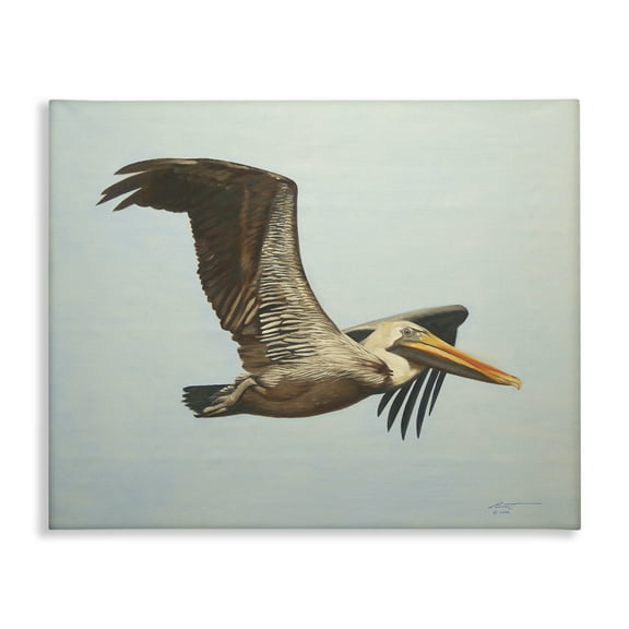 Stupell Industries Brown Pelican in Flight Animals & Insects Painting Gallery Wrapped Canvas Art Print Wall Art, 20 x 16
