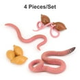 thumbnail image 4 of fastboy 1 Set Earthworm Model Early Educational Practical Growth Cycle Toy Plastic Displaying Prop for Baby Kids Toddlers, 4 of 6