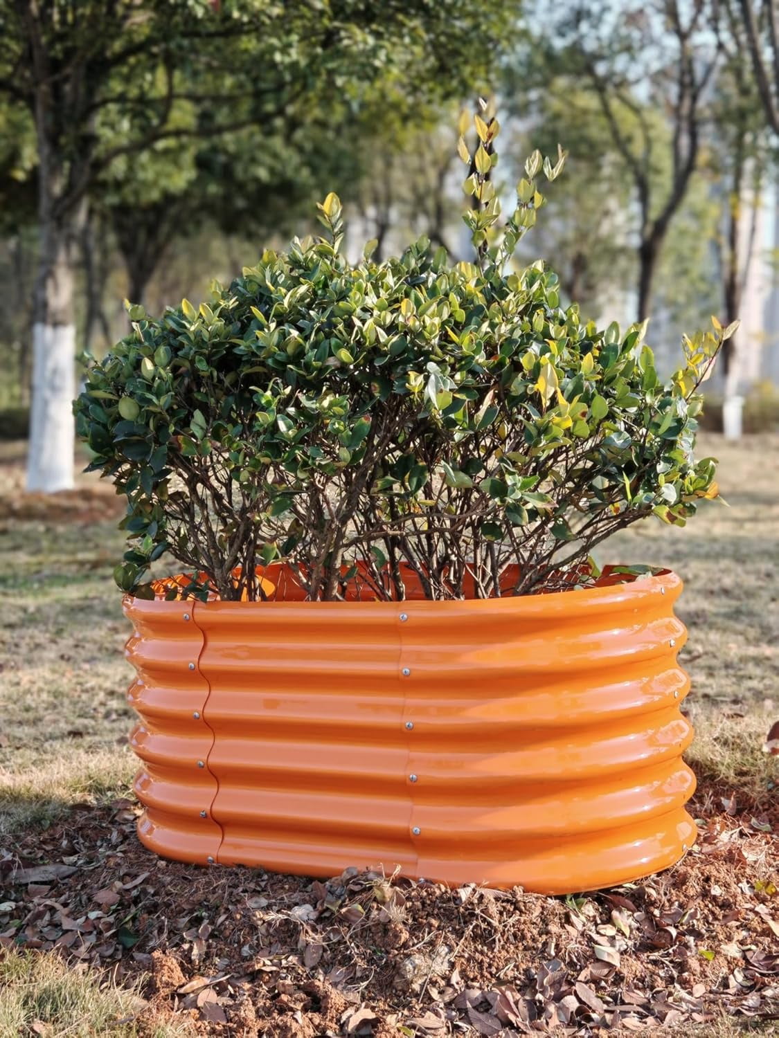 Kids Raised Garden Beds Outdoor (3-Pack)-40x24x18in Oval Round Galvanized Metal Planter Box for Planting Vegetables, Flowers, Fruits, Eco-Safe & Easy Setup, Peach Orange