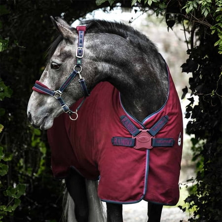 Rambo Helix Sheet (No Fill, Disc Front), Burgundy (Teal/Navy Trim), Size: 66