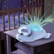 thumbnail image 3 of Peluche Perezoso Summer Infant Proyector De Estrellas Luz Y Sonido, 3 of 6
