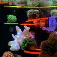 thumbnail image 5 of Acrylic Coral Base,Glowing,Suitable For Aquariums,Durable Coral Rack With Suction Cups,Suitable For Soft Coral Fragments,Single Unit Design., 5 of 6