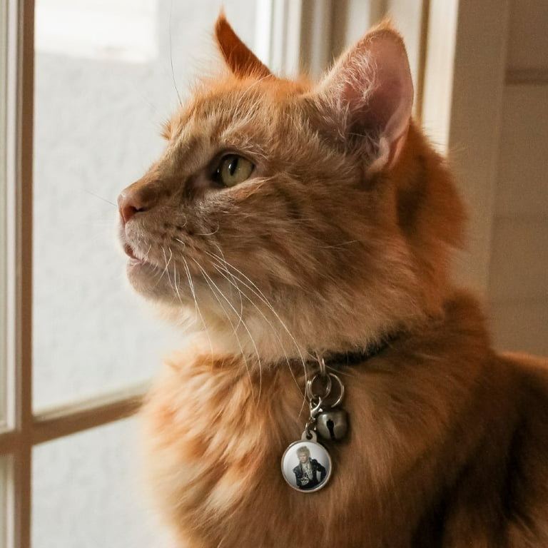 David bowie top cat collar