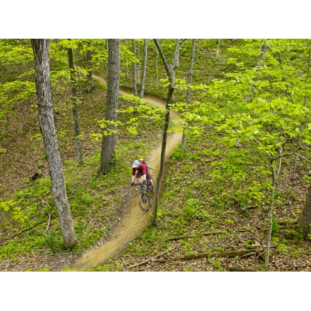 Mountain Biking at Brown County State Park in Indiana, Usa Print Wall Art By Chuck