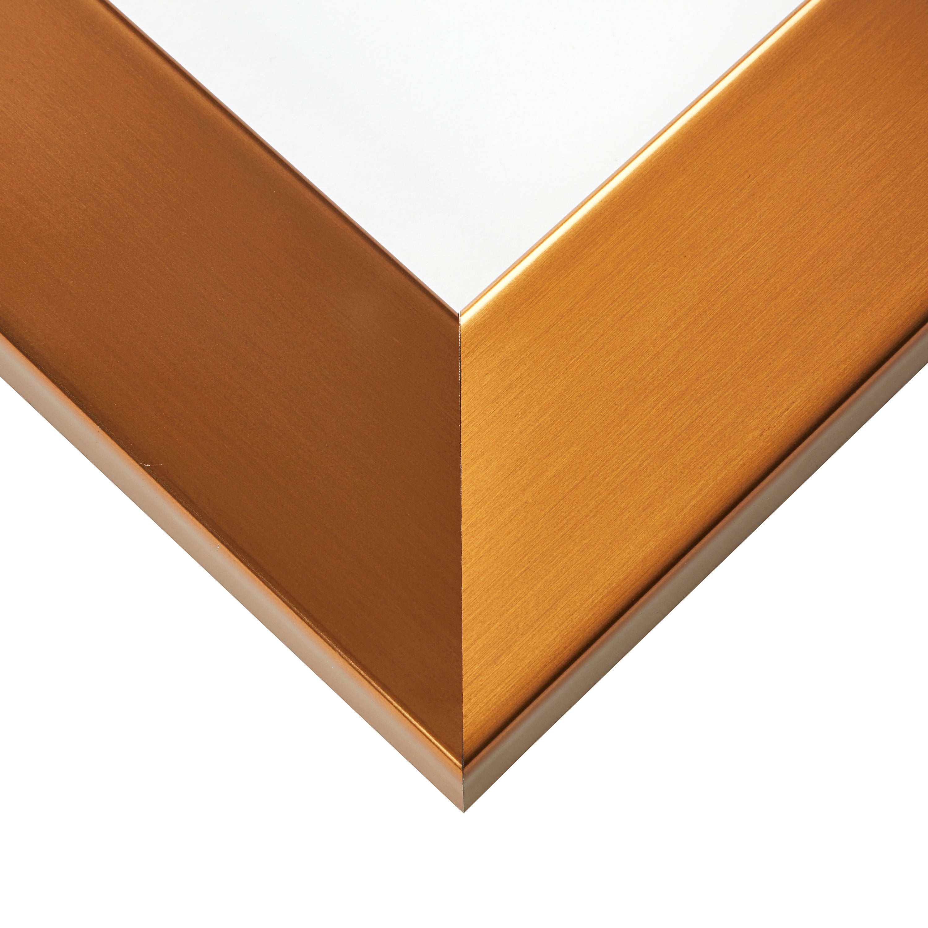 Craig Frames Bauhaus 200, 18x24 inch Picture Frame, Modern Stainless Brass