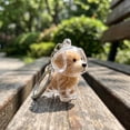 thumbnail image 6 of Dog Hair Storage Keychain, Clear Puppy Shaped Pet Fur Keepsake Capsule Pendant, Portable Pet Hair Memorial Holder Key Ring, Sentimental Gift for Dog Lovers, 6 of 8