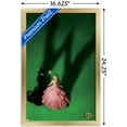 thumbnail image 2 of Wicked - Teaser One Sheet Wall Poster, 22.375" x 34", 2 of 4