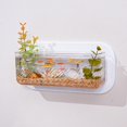 thumbnail image 1 of Feltree Wall Mounted Storage Box Invention Transparent Hydroponic Fish Tank Flowerpot Plastic Office Living Room Wall Storage Casket, 1 of 7
