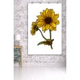 thumbnail image 3 of Prairie Sunflower, Icon (36x54 Giclee Gallery Art Print, Vivid Textured Wall Decor), 3 of 3