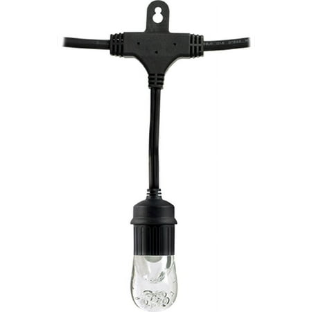 Enbrighten - Café LED Lights (48 feet/24 bulbs) - Black