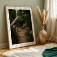 thumbnail image 6 of Forest Pathway - Washington Photography Forest Nature Woodland Scenic Wilderness Rustic Unframed Wall Art Print 32 x 48 inches, 6 of 60