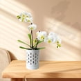 thumbnail image 4 of Macetas para Orquídeas con Agujeros, Maceta de Cerámica de 4 Pulgadas para Trasplantar Orquídeas y Otras Flores, 4 of 5
