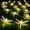 Warm White Light, variant on Dragonfly Starry String Lights, 10ft 20 LED Decorative Twinkle Fairy Lighting Strand Battery Powered with 2 Lighting Modes for Bedroom Wedding Birthday Party Christmas Decor (Colorful Light)