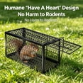 thumbnail image 6 of BPPEG Live Rat Trap Indoor/Outside - Squirrel Trap for Chipmunk, Small Rabbits, Weasel and Similar-Size Rodents, Fully Assembled, Black, 5x5x9", 6 of 7