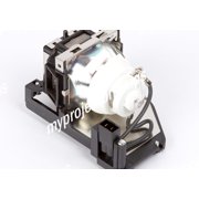 Sanyo ET-LAT100 Projector Lamp with Module