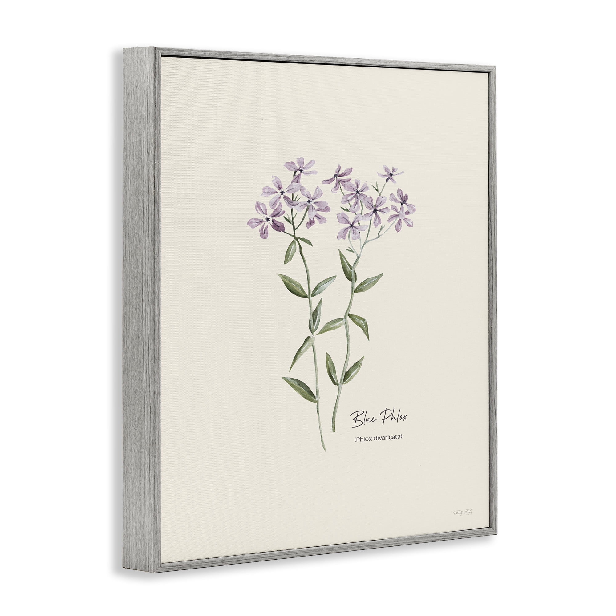 Stupell Industries Country Herb Diagram Botanical & Floral Painting Gray Framed Art Print Wall Art, 11 x 14