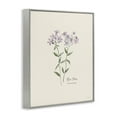 thumbnail image 4 of Stupell Industries Country Herb Diagram Botanical & Floral Painting Gray Framed Art Print Wall Art, 11 x 14, 4 of 10