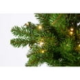 thumbnail image 4 of Sterling Charming 4 Foot Prelit Alpine Tree with Dual Color LED Lights, 4 of 4