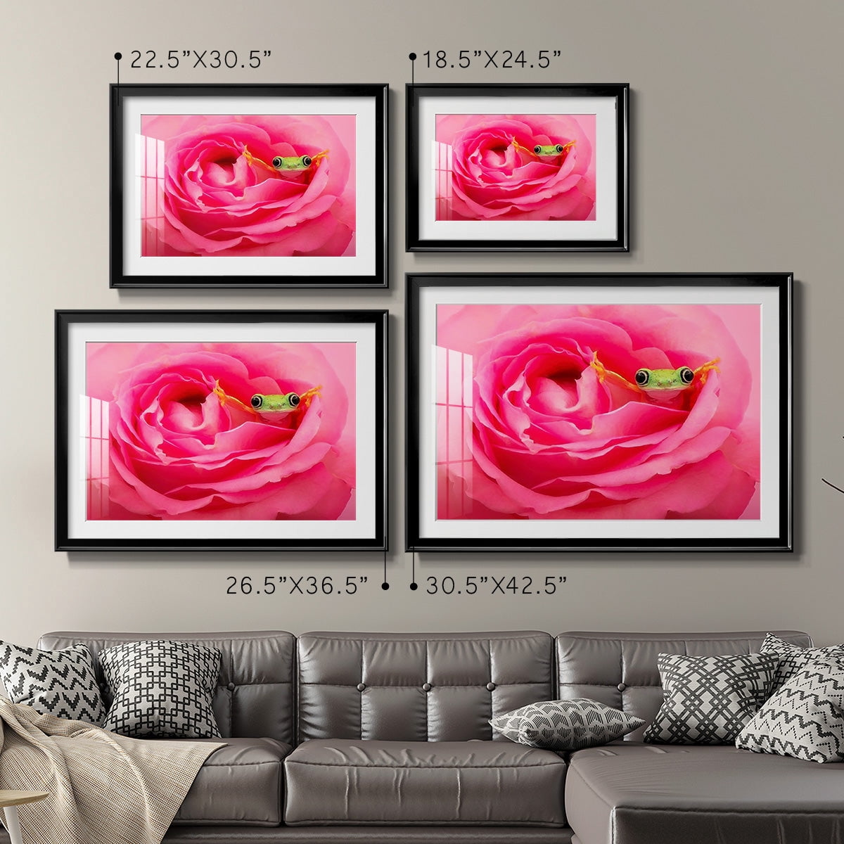Hanging On VIII Premium Framed Print - Ready to Hang