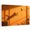 Orange, variant on Jumping Cat Shadow Canvas Wall Art, Minimalist Flying Bird Window Shadow Orange Wall Art Prints Artwork Framed Canvas Ready to Hang Art Pictures for Bathroom, Dressing Table, Entryway 12" x 8"