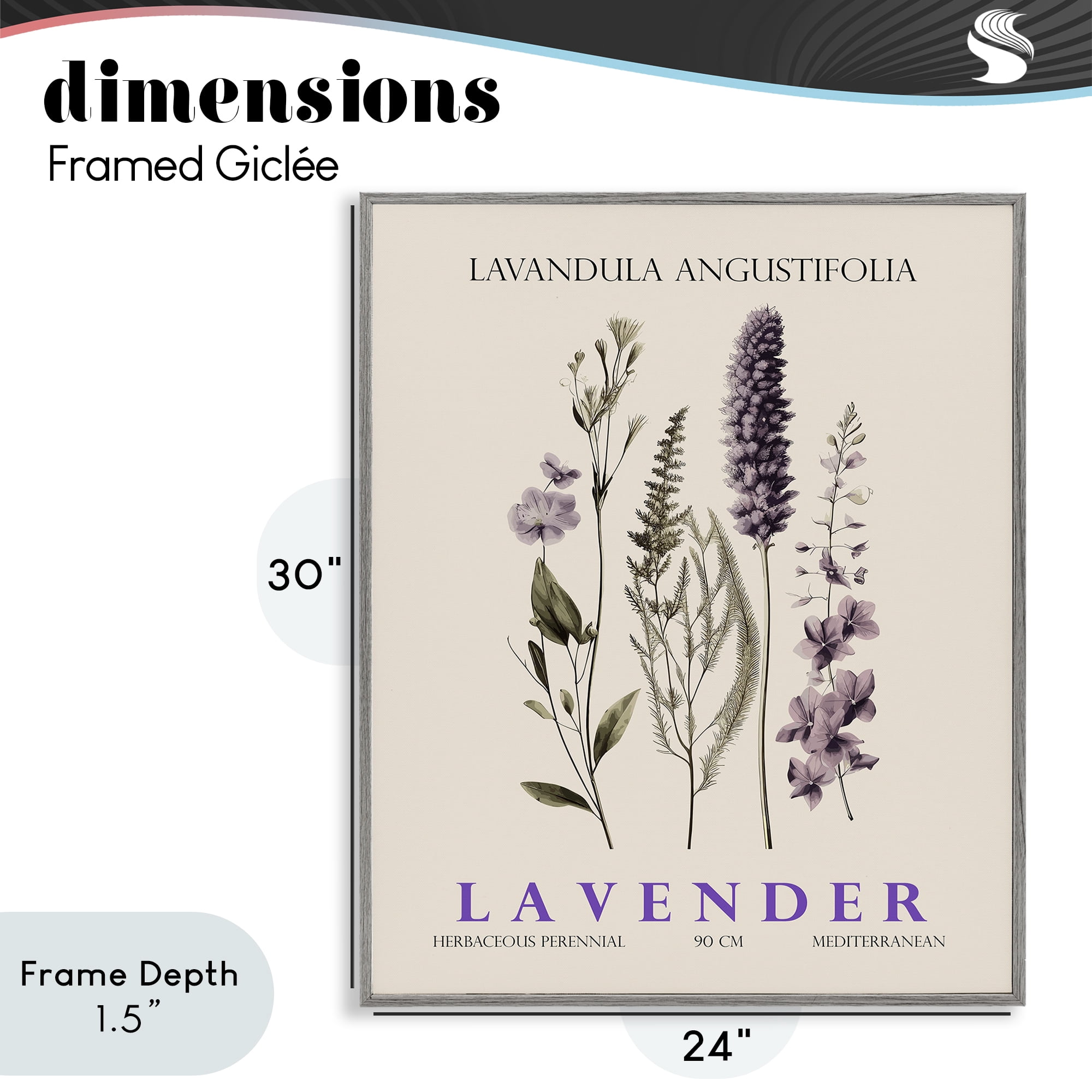 Stupell Industries Natural Lavender Bundle Gray Framed Giclee Art, design by Christopher Giampietro
