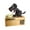 B, variant on Vikakiooze Little Dog-Puggy Bank Automated Dog Steal Coin Bank-Piggy Bank Saving Box, Christmas Gift