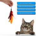 thumbnail image 4 of 9PCS Luxury Colorful Natural Long Feather Pet Cat Teaser Cute Design Replacement Refill Feather for Cat Rod Wand, 4 of 7