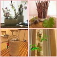 thumbnail image 3 of Minkissy 1 Roll Wrapping Twine Natural Biodegradable Great for Tying Packages, 3 of 8