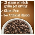 thumbnail image 4 of Cheerios Low Cholesterol Gluten Free Crunchy Chocolate Cereal, 14.3oz Box, 4 of 10