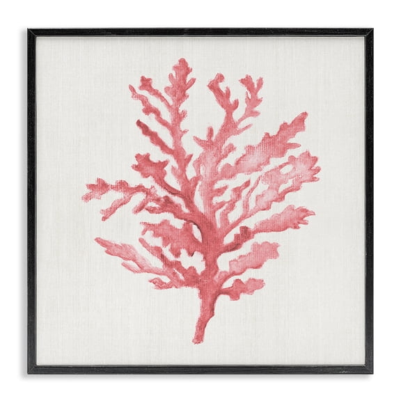 Stupell Industries Rosy Pink Coral Branch Black Framed Giclee Art, design by Janet Tava