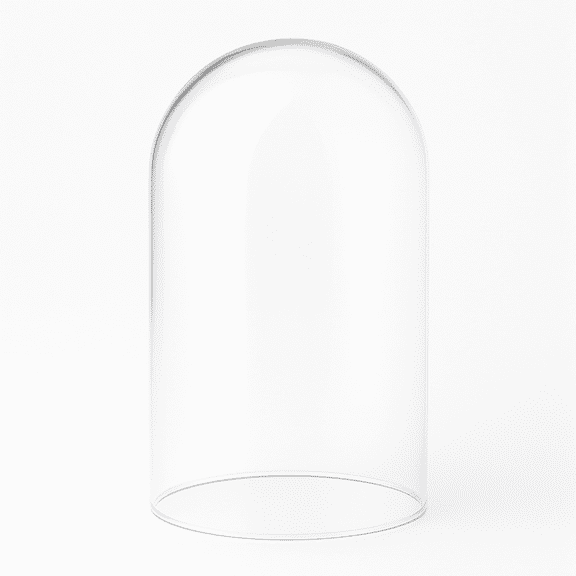 Plastic Dome Display with Clear Base, 8-1/2-Inch, X-Large