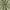 Sage Green, variant on Sun Zero Vance 2-Piece Magnetic Closure 100% Blackout Back Tab Curtain Panel Pair, 37"x84", Sage Green