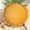 Yellow, variant on Surpdew Decorative Pillows For Bed The Fashionable And Simply Round Cushions And Throw Pillows Are Now Comfortable-Simply And Fashionable White