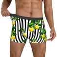 thumbnail image 2 of Kdxio Men's Boxer Briefs with Lemons on Striped Print - Comfortable and Breathable Underwear for Everyday Wear, 2 of 7